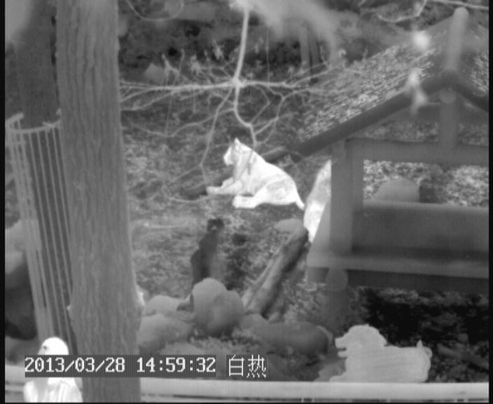 紅外熱像儀熱圖、效果圖怎么看
